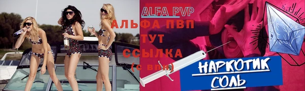 прущие крисы Вязьма