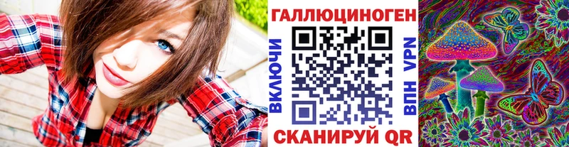 Купить  Моршанск  Псилоцибиновые грибы GOLDEN TEACHER 
